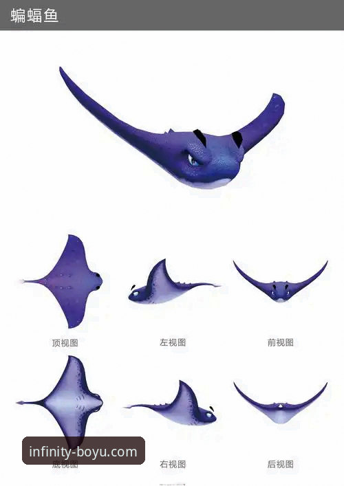 博鱼安卓版使用指南全面解析：从下载到畅玩的完整操作手册